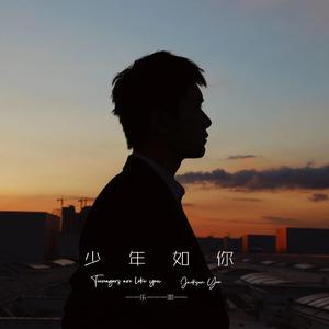 少年如你