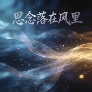 思念落在风里