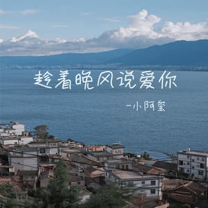 趁着晚风说爱你