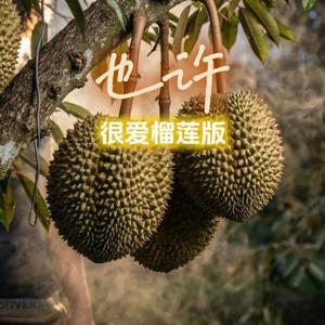 也许(爱乐大叔刘莲版)