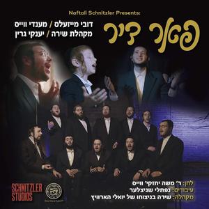 Far Dir (feat. Mendy Weiss, The Shira Choir & Yanky Green)