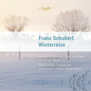 Die Winterreise, Op. 89:Irrlicht