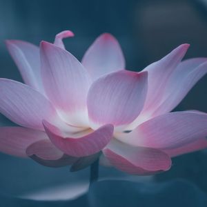 般若波罗密多心经 · 释然之音