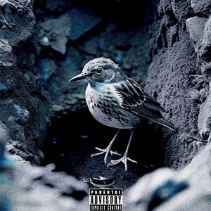 井底的鸟(Prod by 赖建宜)