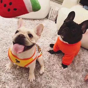 我为情字立大旗