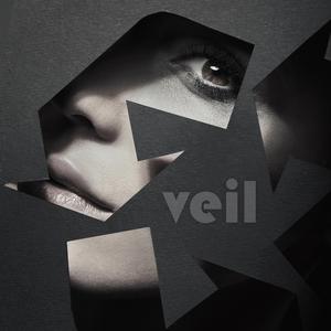 Veil (Radio Edit)