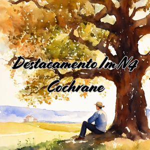 Destacamento Im N4 Cochrane