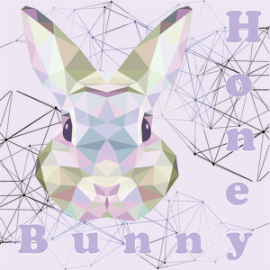 Doctor (Honey Bunny Remix)