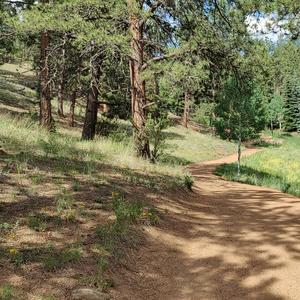 Rollin Down The Avenue