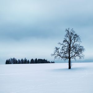 冲动的惩罚（泰语版）