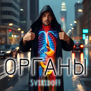 Органы