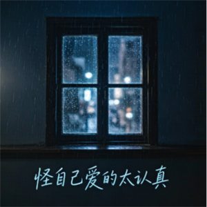 怪自己爱的太认真