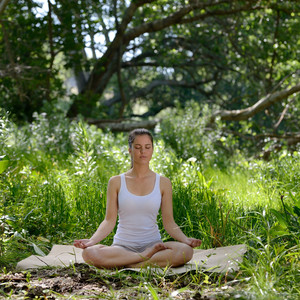 Nature's Harmony in Meditation