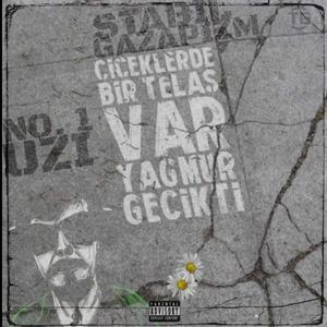 Çiçeklerde Bir Telaş Var