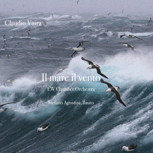 Canto dei gabbiani ondate tempesta