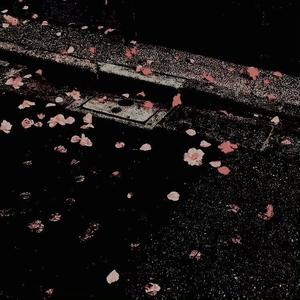 红色高跟鞋(DJ版)