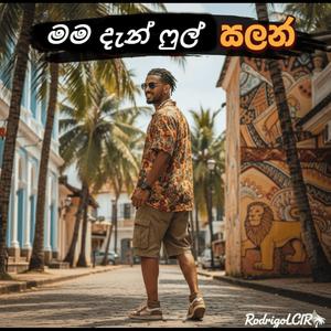 මම දැන් ෆුල් සලන්