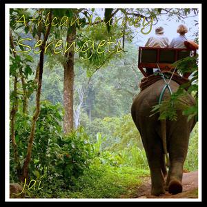 African Journey - Serengeti
