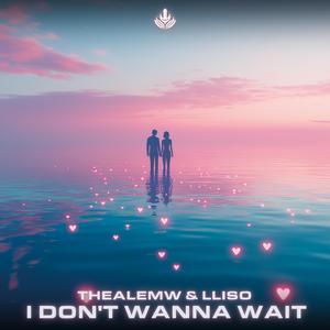 I Don't Wanna Wait (Extended)