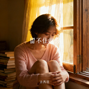 留不住的你