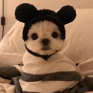 [Free]北极丘比特