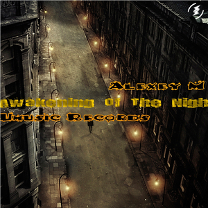 Awakening Of The Night (Original Mix)