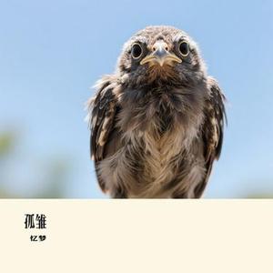 孤雏 (Cover 李佳薇)