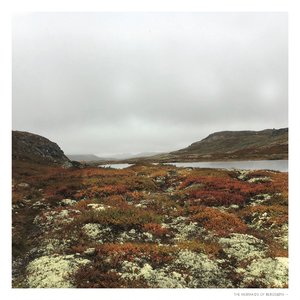 The Mermaids of Bergsjøn