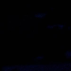ensis