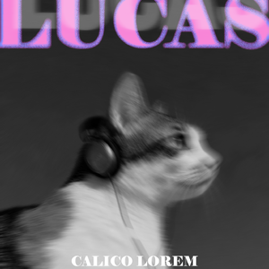 Melody of Love（爱的旋律）