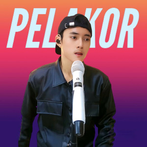 Pelakor