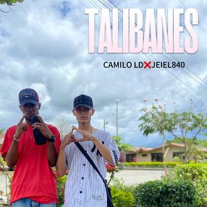 Talibanes
