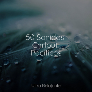 Brisa A Través De Las Edades