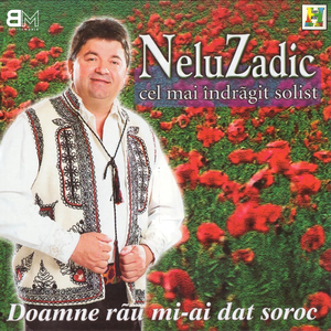 Trandafir rosu inflorit