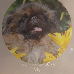 I Love How You Love Me