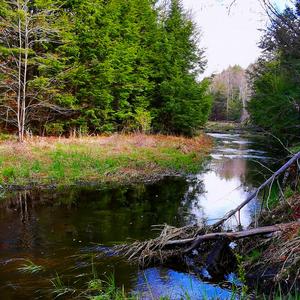 莫听穿林打叶声