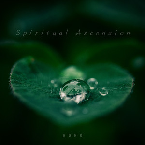 Spiritual Ascension