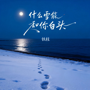什么雪能和你白头