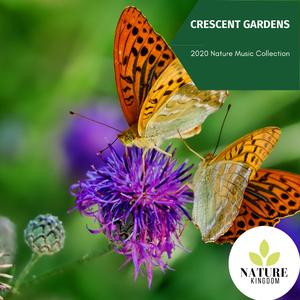 Ripple Water Effects