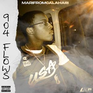 904 FLOWS