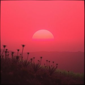 Gravity's Whisper in the Void