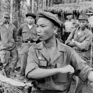 Feel Like Vang Pao (feat. SonsOfNotown, Blue Devil, Tnb Gzz & Ape Roscoe)