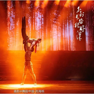 《大雁（希望）》