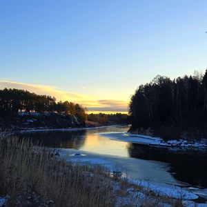 Яблоневый сад