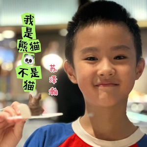 我是熊猫不是猫苏泽瀚
