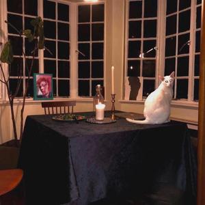 星空剪影（女生版）（翻自 蓝心羽）