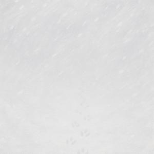 Nordsee (feat. E1T1 & Styfe Briese) (2008 Version)