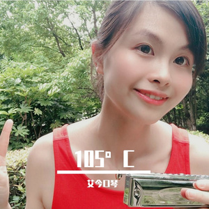 热爱105°C的你 口琴
