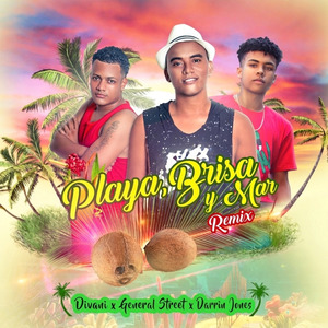 Playa, Brisa y Mar (Remix) (Remix)