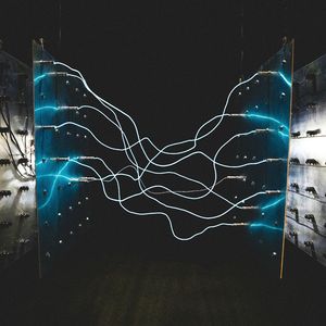 DJ Coffee - In The Light（Original Mix）